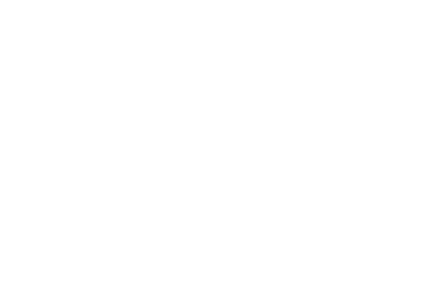 Big Lots
